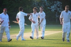 2008 Sunday XI v Hartest & Coldham