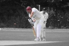 The Batting Gallery (2008-2010)