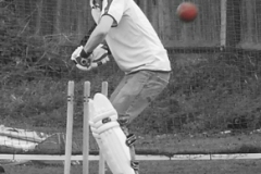 picture_706306_smaller