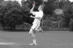 The Bowling Gallery (2008-2010)